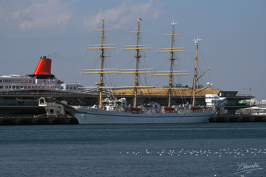 f0344614_10475562.jpg