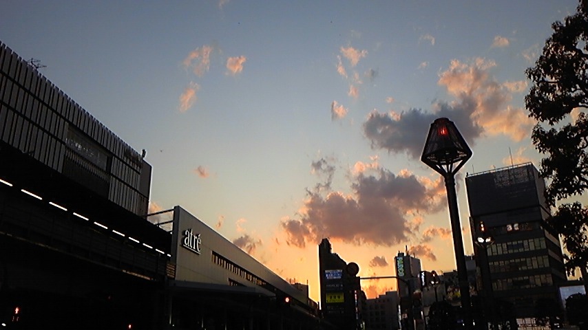 夕空_c0038722_1150176.jpg