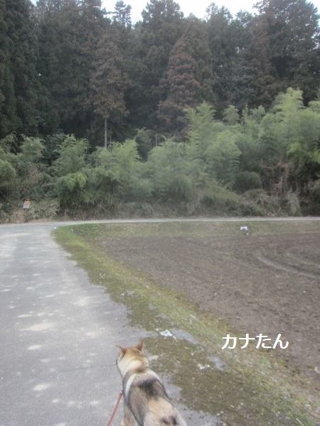 f0143123_2084961.jpg