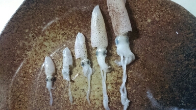c0147830_814216.jpg