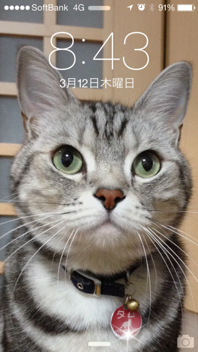 c0010833_0542996.png