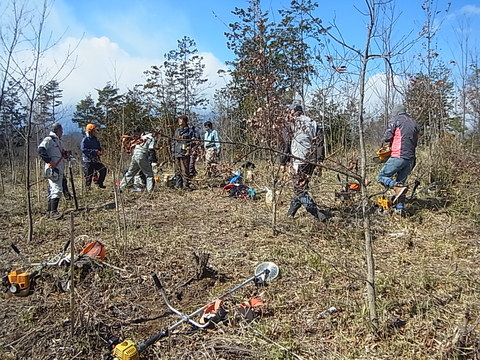f0161535_017225.jpg