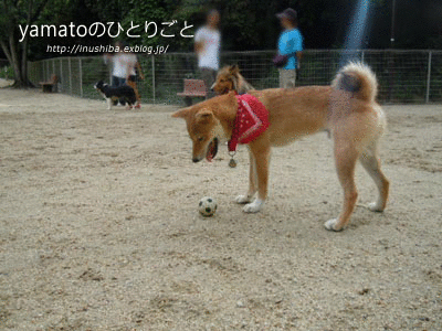 a0286855_1214944.gif