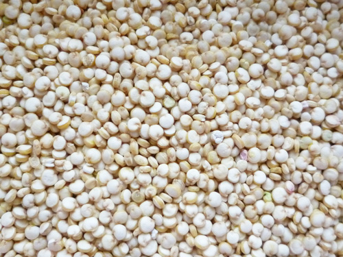 365 ORGANIC WHITE Quinoa_c0152767_21443070.jpg