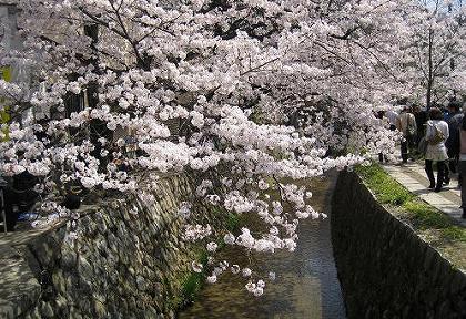 京都　哲学の道_c0229483_857133.jpg