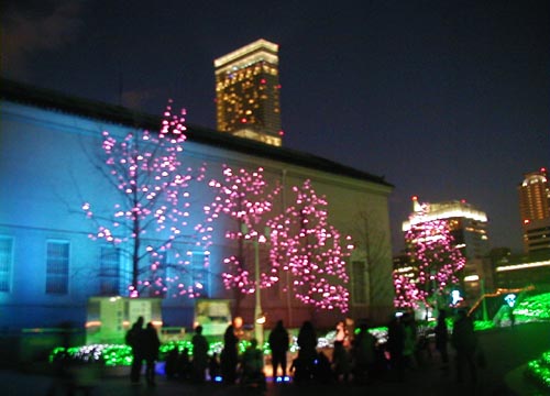 d0053294_13198.jpg