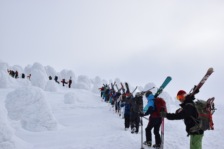 八甲田はやはり粉雪病のメッカ_c0242406_10375220.jpg