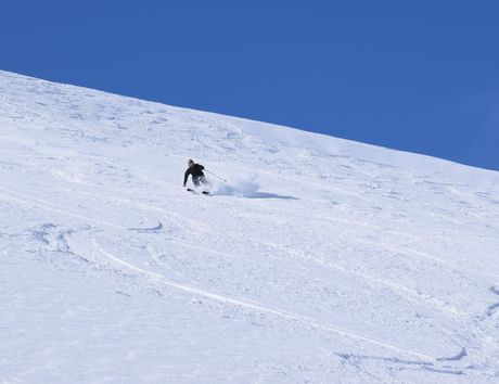 八甲田はやはり粉雪病のメッカ_c0242406_11105530.jpg