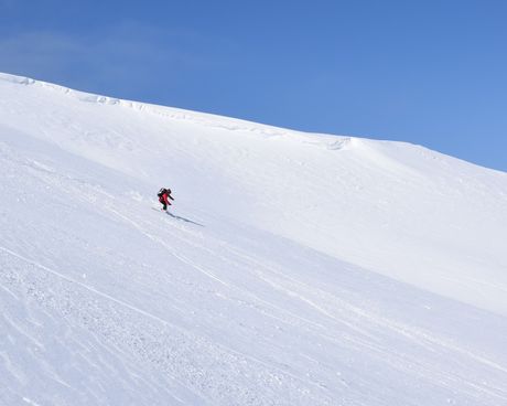 八甲田はやはり粉雪病のメッカ_c0242406_1172272.jpg