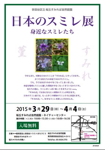 日本のスミレ展のご案内_b0049307_20391274.jpg