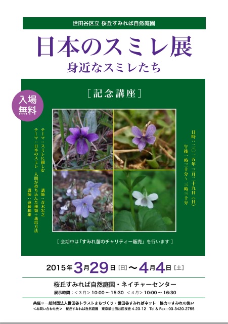 日本のスミレ展のご案内_b0049307_20391865.jpg