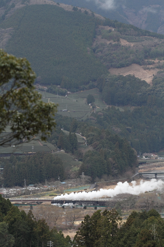 2両の機関車が鉄橋を渡る - 2015年・大井川重連 - _b0190710_2254510.jpg