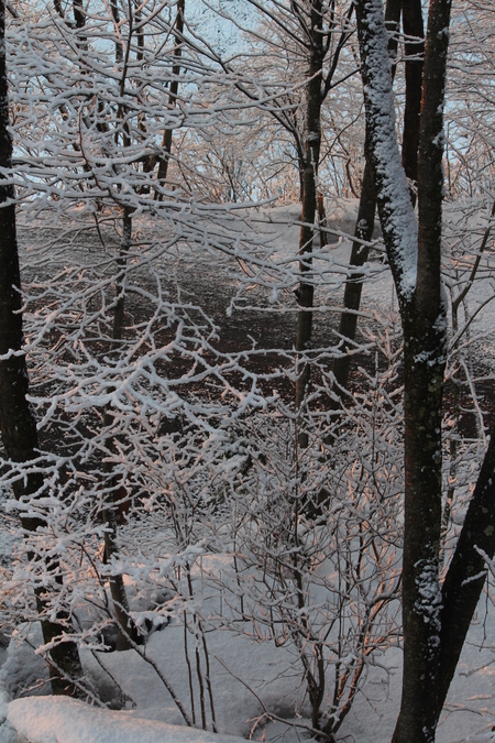 春の淡雪_a0315813_838299.jpg