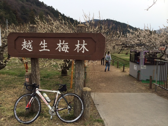 中学校卒業式_d0130714_1659117.jpg