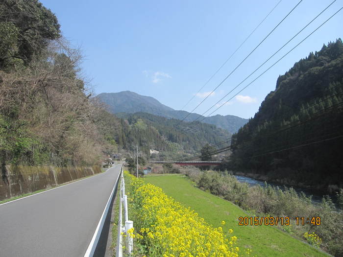 f0193521_56397.jpg