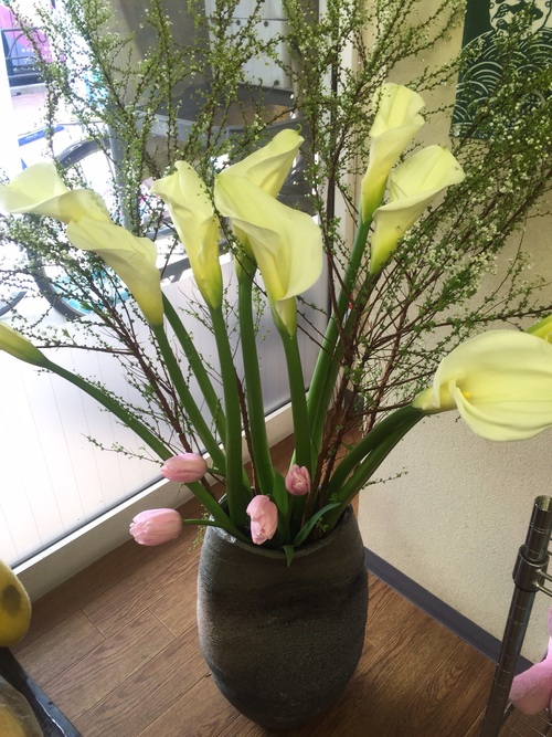 体調は気をつけて(^ ^)_a0200423_1551464.jpg