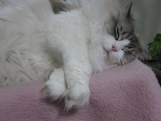 c0053625_2225564.jpg