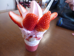 c0343936_2058639.jpg
