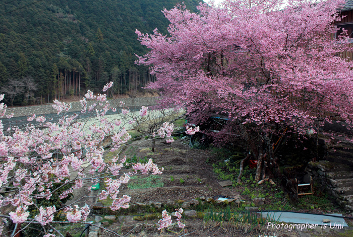 ２０１４年３月１４日　　守り_e0083238_9285211.jpg