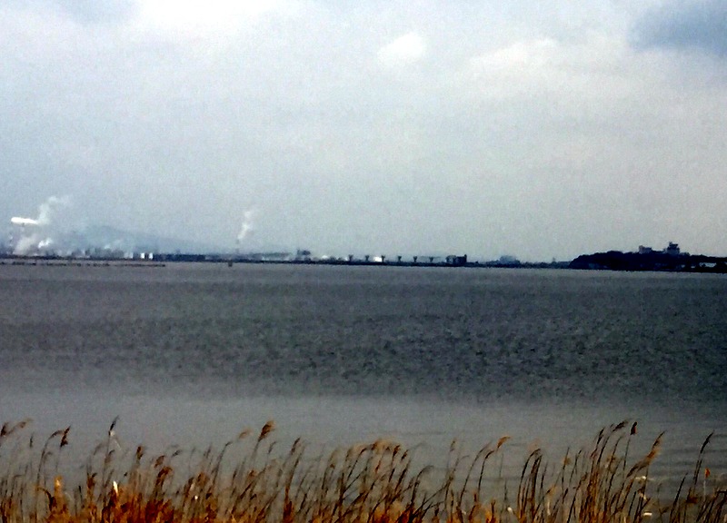 b0057140_16112494.jpg