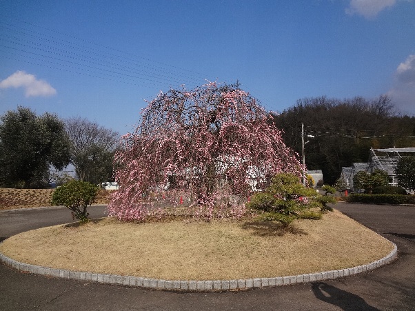 b0149340_1959395.jpg