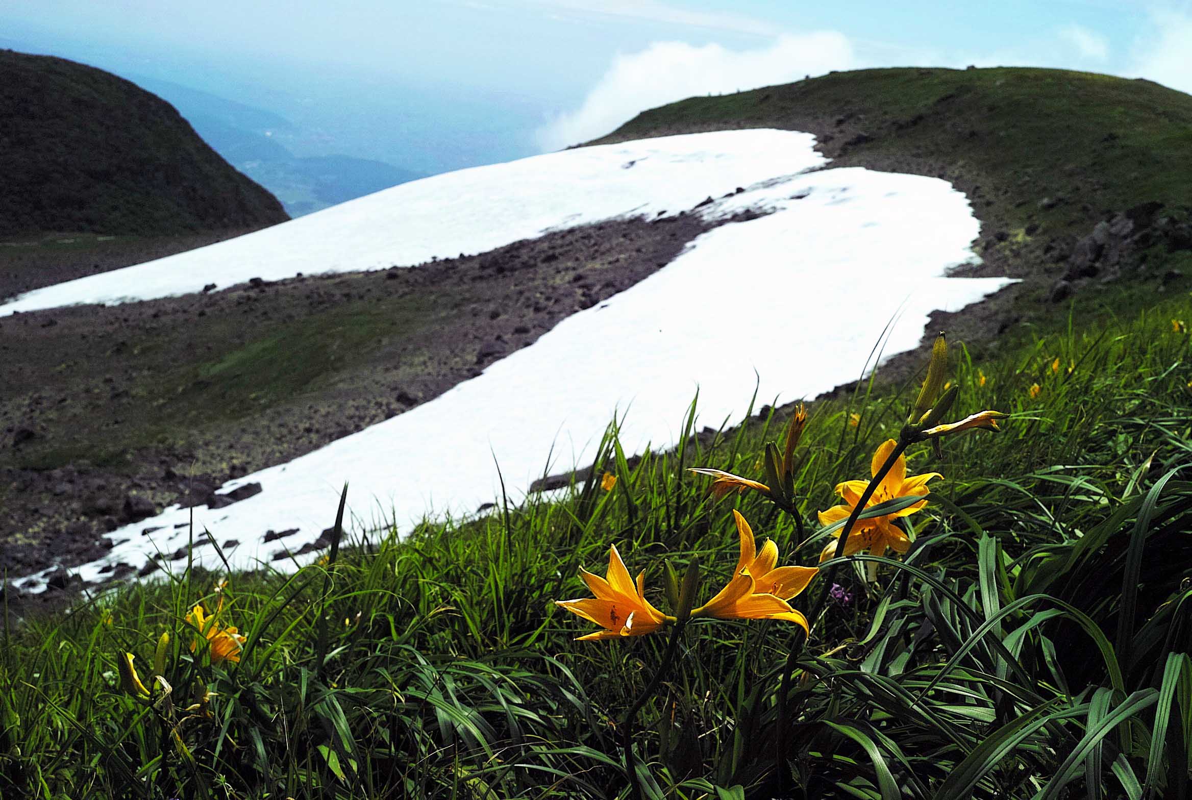 2015 ツキイチ登山 候補_d0237340_11491159.jpg