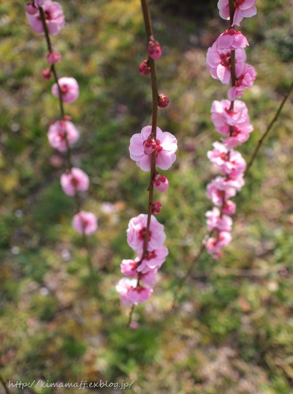b0165444_22281.jpg