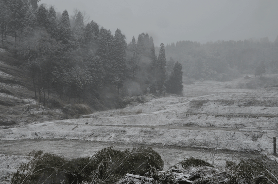 c0093046_8305871.gif