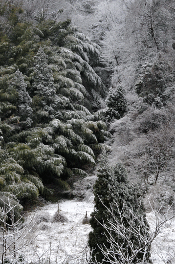c0093046_8311558.gif