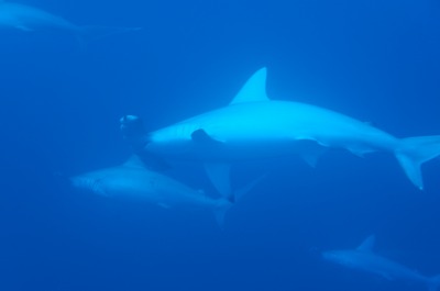 d0113459_20342496.jpg