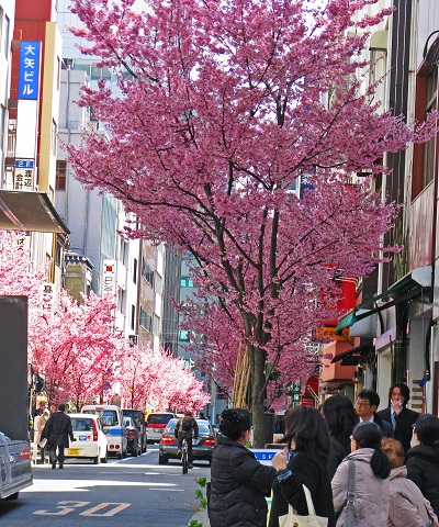 日本橋・春_e0323465_1817543.jpg