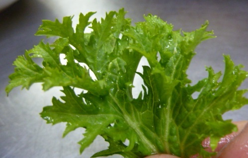 e0278968_22550995.jpg