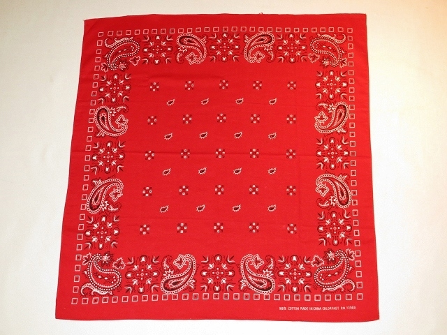 ◆BANDANNA◆_c0160273_19323027.jpg