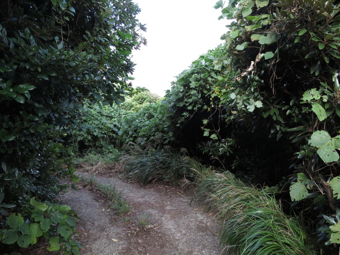 b0339488_20414297.jpg