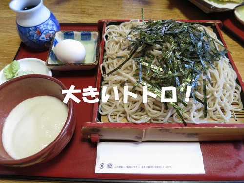 ポット作業開始！_b0200291_22142999.jpg