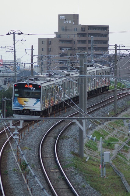 d0181492_1655376.jpg