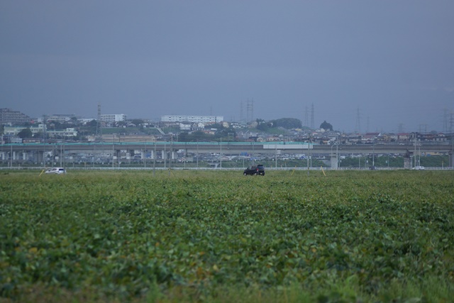 d0181492_1656455.jpg