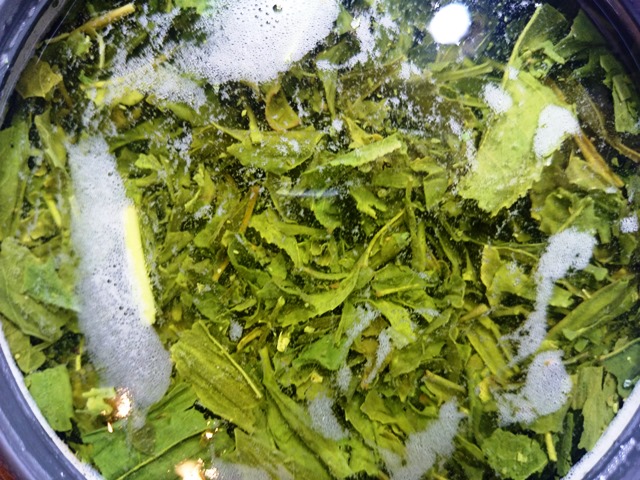 ま、ま、お茶でも飲んで落ち着いて。_e0167593_0593696.jpg