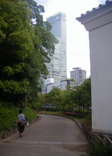 d0053294_20464.jpg