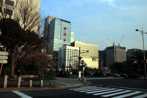 退院はしたものの・・・_c0090198_19455378.jpg
