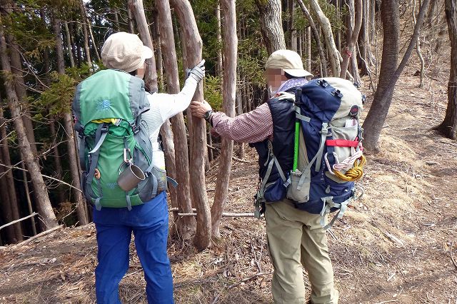 岳ノ山－大鳥屋山とセツブンソウ_e0137200_18552283.jpg