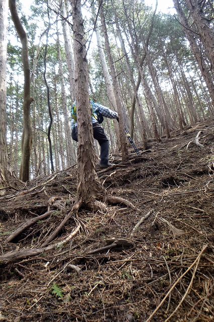 岳ノ山－大鳥屋山とセツブンソウ_e0137200_18555257.jpg