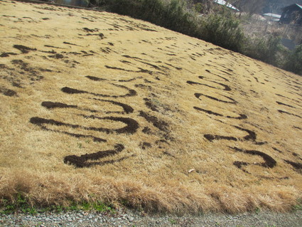 c0212604_1727280.jpg