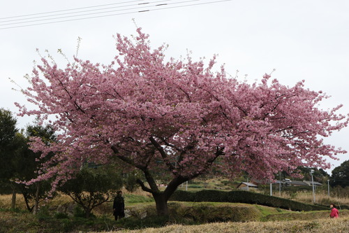 d0230507_1049829.jpg