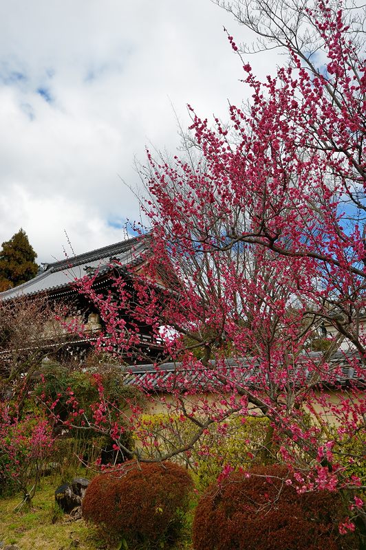 f0032011_17141367.jpg