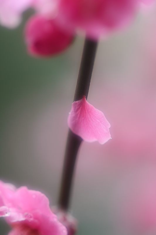 f0032011_17214823.jpg