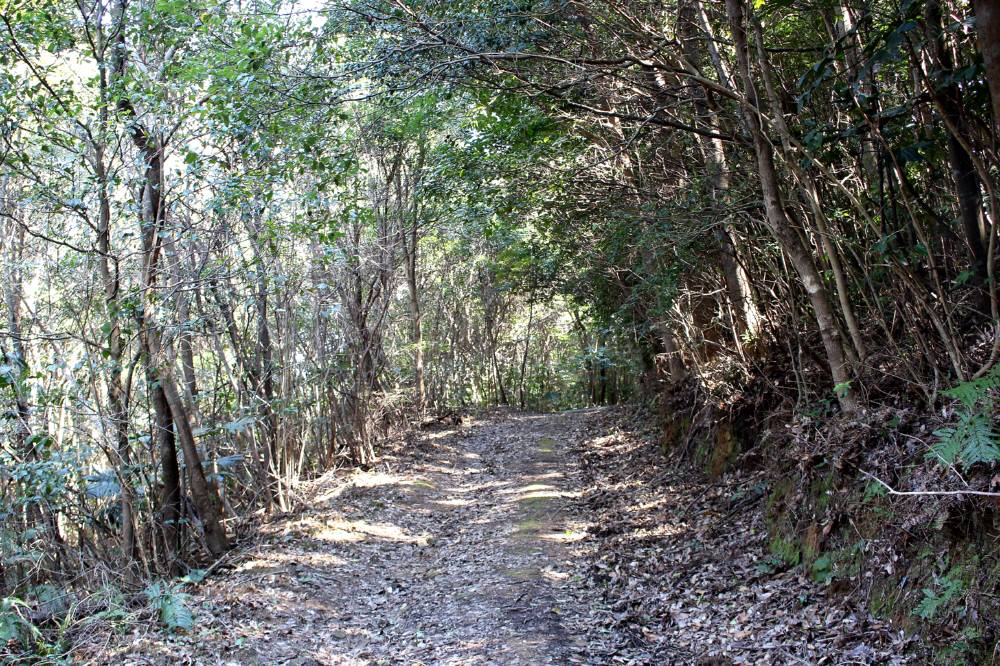 天草遠征　二日目午前は権現山・六郎次山・古江岳・行人岳_f0212511_196550.jpg