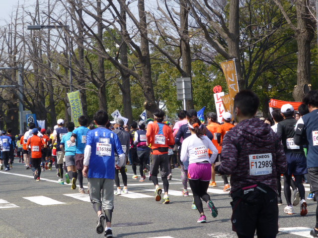 横浜マラソン2015　応援_e0237625_2235669.jpg