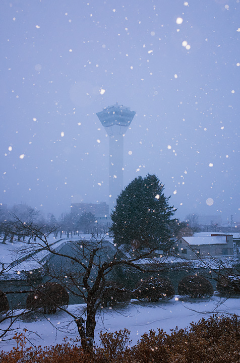 久しぶりの函館は大雪！_b0085526_1019313.jpg