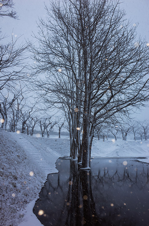 久しぶりの函館は大雪！_b0085526_10351813.jpg